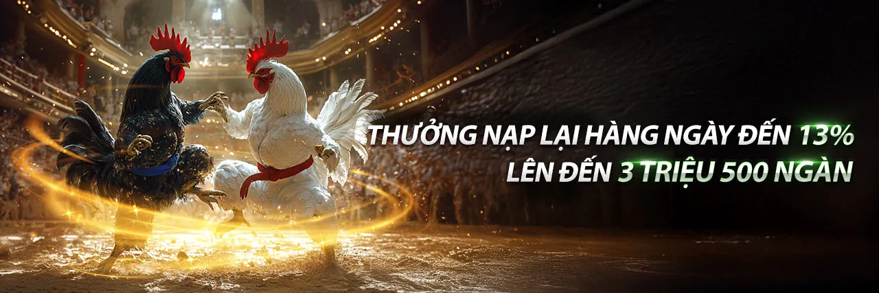 Đá Gà Trực Tiếp 67 tại PG99 Win